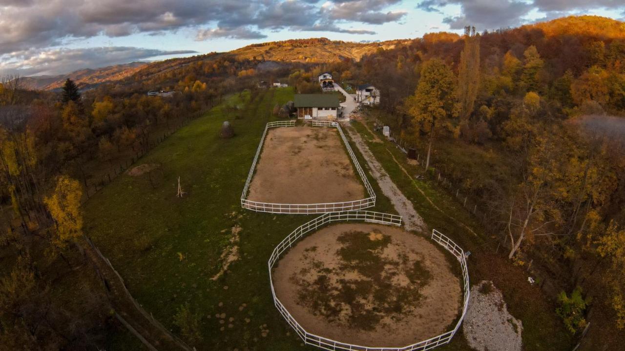 Hanul Doctorului Badeni-Runcu Runcu  Extérieur photo